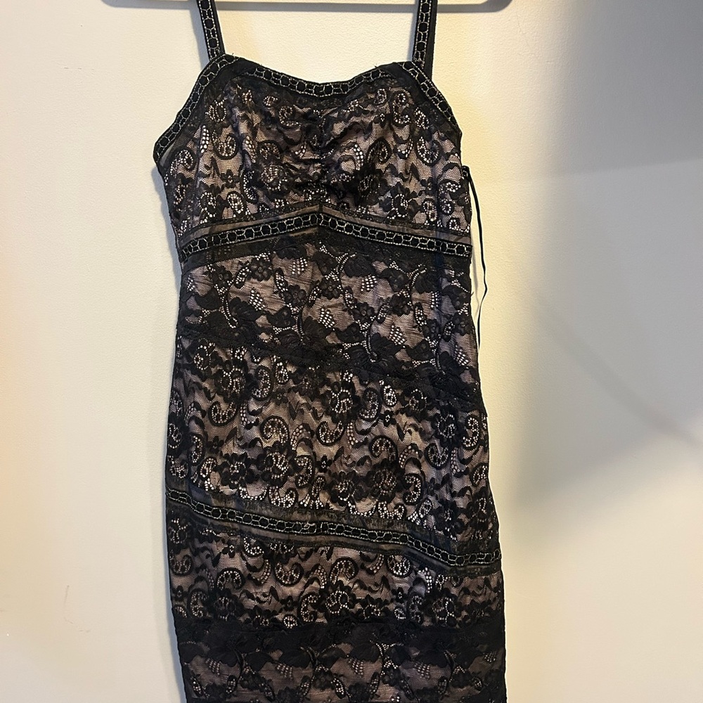 Minuet Petite Black Lace Dress